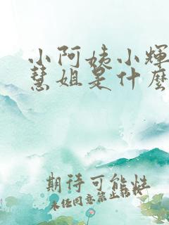 小阿姨小辉小云慧姐是什么小说