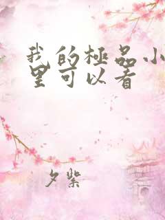 我的极品小姨哪里可以看