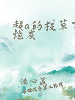 超a的校草穿成炮灰