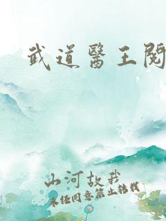 武道医王阅读