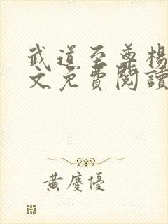 武道至尊杨开全文免费阅读