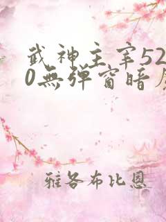 武神主宰5200无弹窗暗魔师