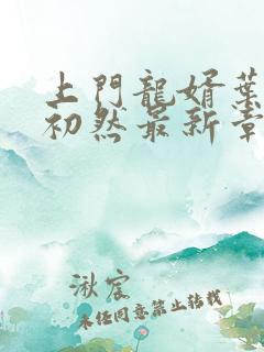 上门龙婿叶辰萧初然最新章节列表