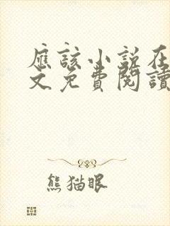 应该小说在线全文免费阅读