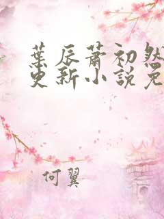 叶辰萧初然最新更新小说免费阅读