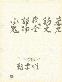 小说我的老公是鬼物全文免费阅读
