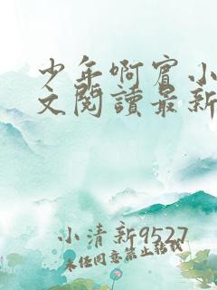 少年啊宾小说全文阅读最新章节txt