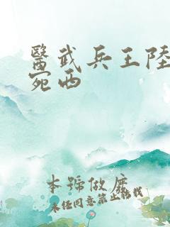 医武兵王陆轩宁宛西