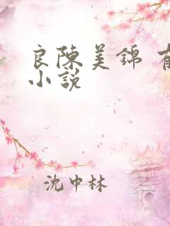 良陈美锦 有声小说