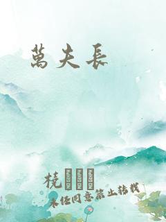 万夫长