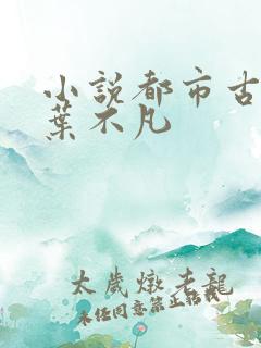 小说都市古仙医叶不凡