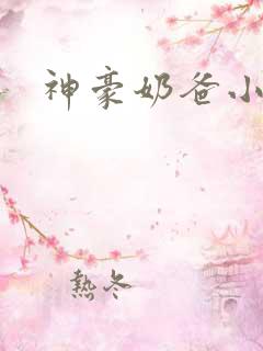 神豪奶爸小说