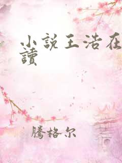 小说王浩在线阅读