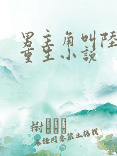 男主角叫陆天的重生小说