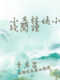 小志林姨小说在线阅读