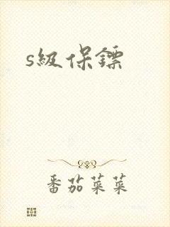 s级保镖