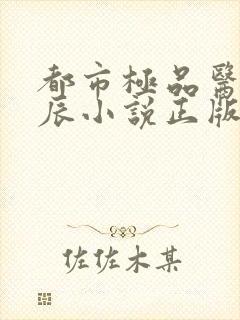 都市极品医神叶辰小说正版