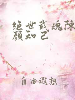 绝世武魂陈枫红颜知己