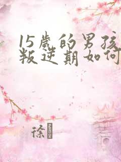 15岁的男孩子叛逆期如何去管教