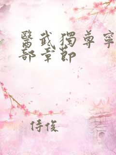 医武独尊宁天全部章节