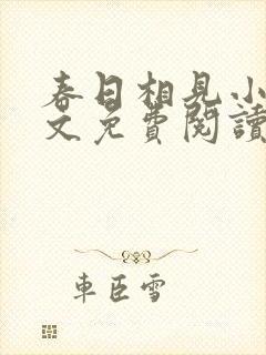 春日相见小说全文免费阅读笔趣阁