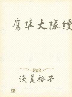 鹰隼大队续集