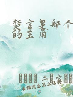 楚言是哪个小说的主角