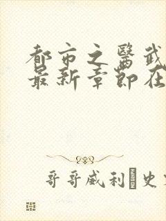 都市之医武阎王最新章节在线阅读