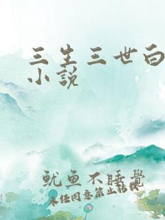 三生三世白暮泪小说