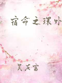 宿命之环外神