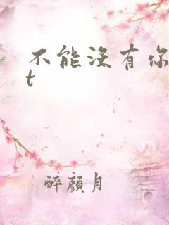 不能没有你txt