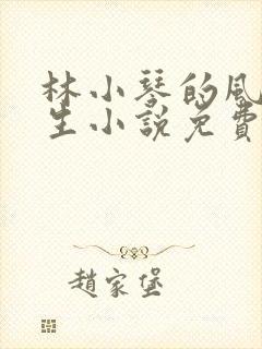 林小琴的风流人生小说免费阅读