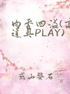 肉香四溢(高H道具PLAY)