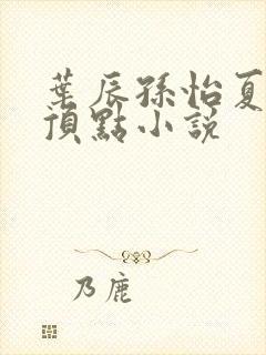 叶辰孙怡夏若雪顶点小说