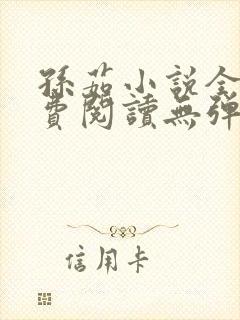 孙茹小说全文免费阅读无弹窗