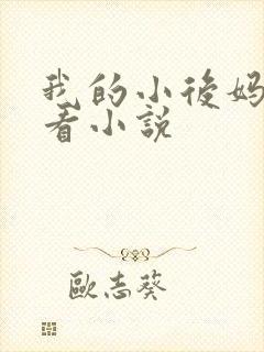 我的小后妈免费看小说