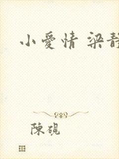 小爱情 梁静茹