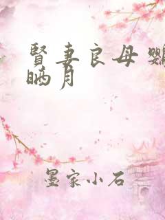 贤妻良母 鹦鹉晒月