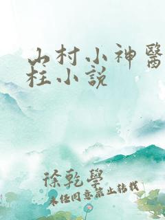 山村小神医王铁柱小说