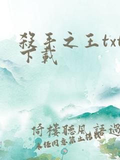 杀手之王txt下载