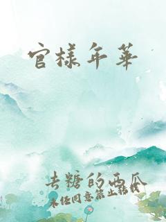 官样年华