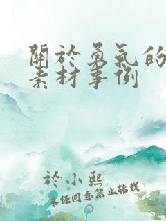 关于勇气的作文素材事例