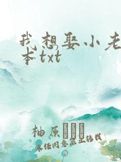 我想娶小老婆全本txt