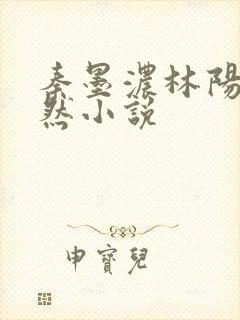 秦墨浓林阳秦嫣然小说