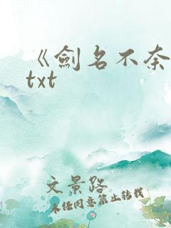 《剑名不奈何》txt