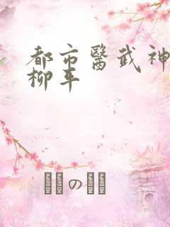 都市医武神王一柳平