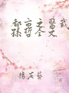 都市之医武风流孙哲全文