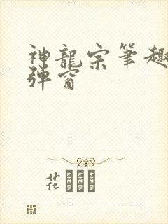 神龙宗笔趣阁无弹窗