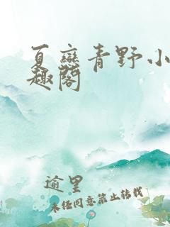 夏恋青野小说笔趣阁