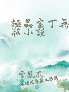 极品家丁无删减版小说